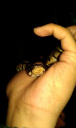 IMAG0210.jpg