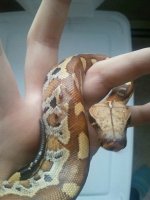 2011-09-07_10.47.40.jpg
