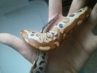 2011-09-07_10.47.04.jpg
