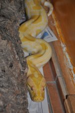 python3.jpg