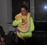 python.jpg