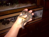 IMG-20110913-00036 (Medium).jpg