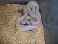 8-19-11 012.jpg