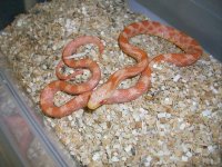 8-19-11 018.jpg
