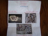 jungle het photo id.jpg