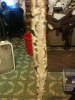 IMG_1164.jpg