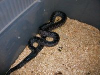 4-13-11 019.jpg