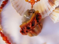 agate turtle close up.jpg
