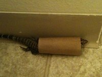 IMG_0342.jpg