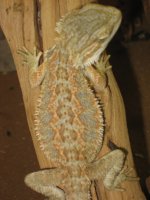 IMG_1049.jpg