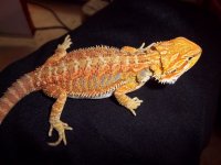 100_1192.jpg