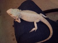 100_1209.jpg