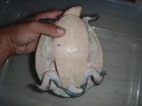 PB110012.jpg