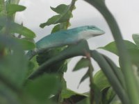 IMG_0123.jpg
