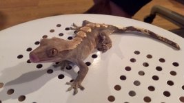 2011-09-08_13-54-05_923.jpg