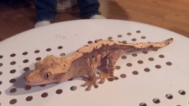 2011-09-08_13-54-54_848.jpg