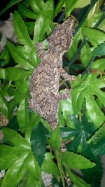 2011-09-07_11-57-11_496.jpg
