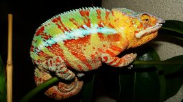 DSC03404.jpg