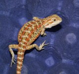 DSC05405.jpg