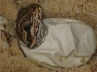 IMG_2463.JPG