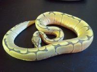 2012-01-02 21.49.00.jpg