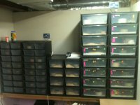 I phone pics 2011 126.jpg