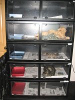 48x24x14cages.jpg