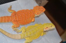 DSC_4841.jpg