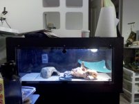 2011-02-26_21-48-20_471.jpg