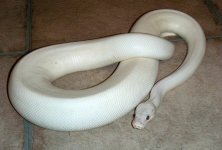 DSCN5530.JPG