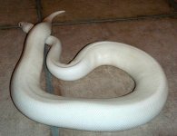 DSCN5529.JPG