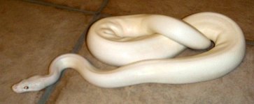 DSCN5531.JPG