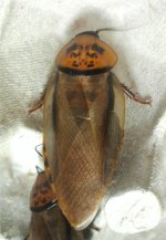 2011-10-07153842.jpg