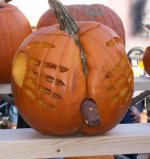 dumpon pumpkin.jpg