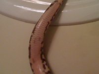 photo(3).jpg
