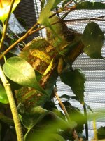 IMG_0698.jpg