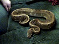 2011_10_23_19_11_55_595.jpg