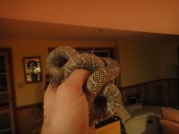DSC01277.jpg