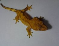 2011-11-26 20.01.04.jpg