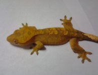 2011-11-26 20.03.39.jpg