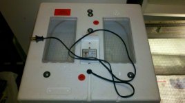 2011-12-18_20-03-30_648.jpg