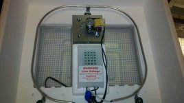 2011-12-18_20-04-39_49.jpg