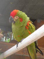 IMG_0282.jpg