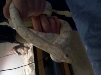 2011-12-14_14-38-18_770.jpg