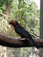 IMG_0311.jpg