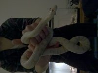 2011-12-14_14-36-57_808.jpg