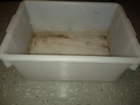 IMG_20111207_181834.jpg