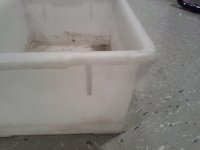 IMG_20111207_181855.jpg