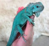 A-IMG_3923.jpg