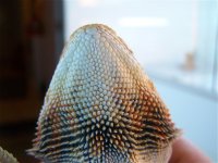 100_2284.jpg